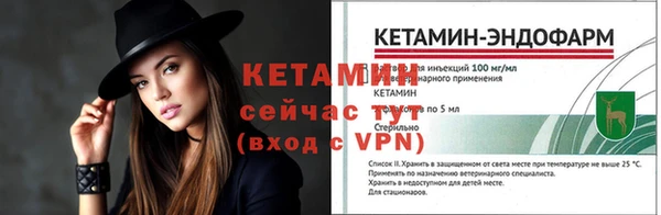прущие грибы Богородицк