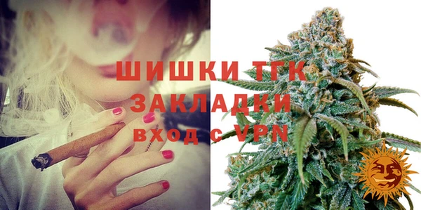 прущие грибы Богородицк