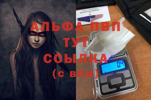 прущие грибы Богородицк