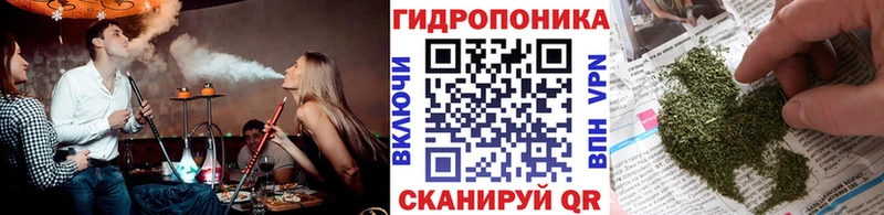 МАРИХУАНА ГИДРОПОН  Цивильск 